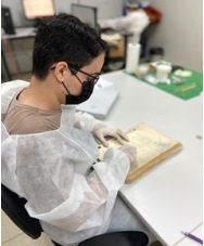 Imagem de pessoas participando de uma exposição.