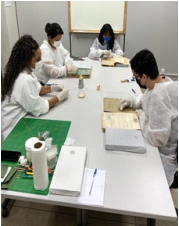 Imagem de pessoas participando de uma exposição.