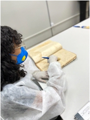 Imagem de pessoas participando de uma exposição.