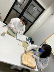 Imagem de pessoas participando de uma exposição.