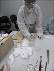 Imagem de pessoas participando de uma exposição.